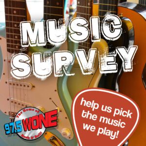 Wone musicsurvey2025